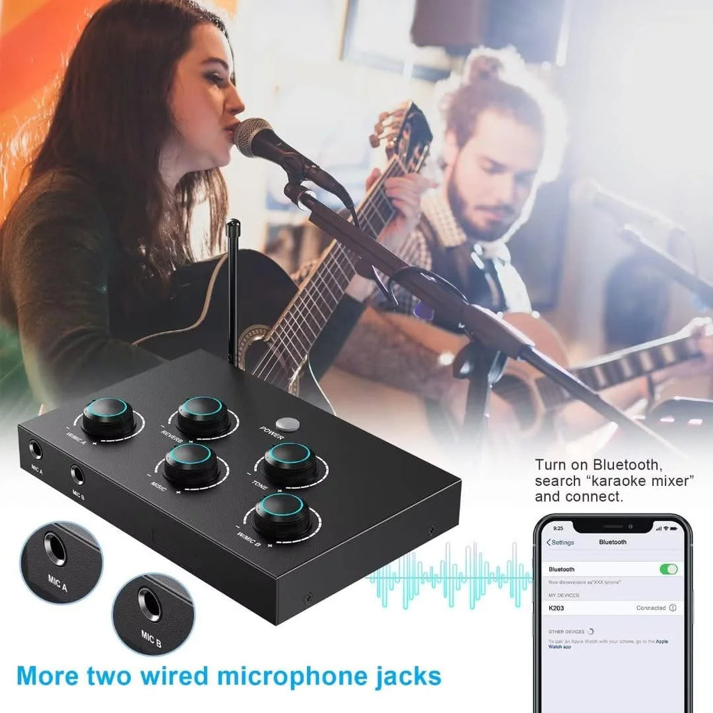 Portable Karaoke Microphone Mixer System Set with Dual UHF Wireless, Black