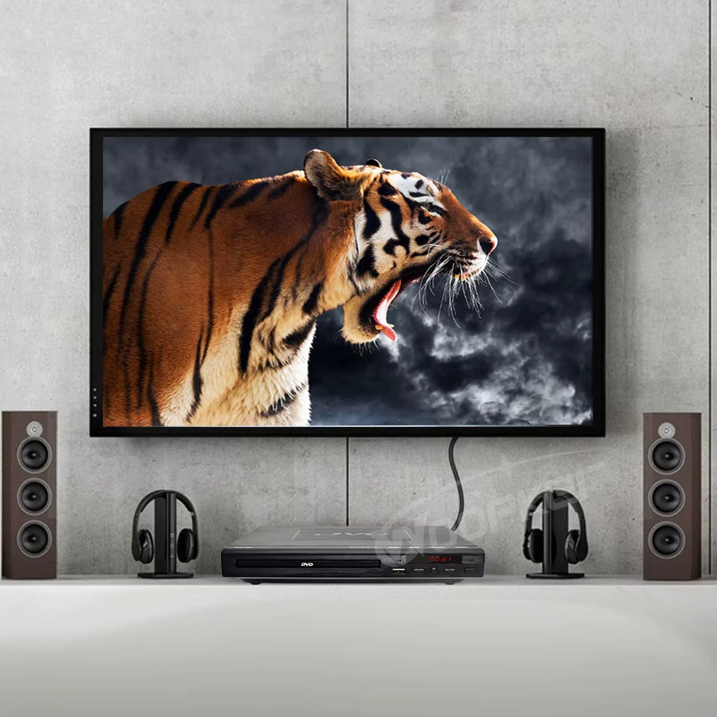 DVD Player 225 Region Free LED Display with Remote Control AV Output Support VCD CD Disc and USB Input